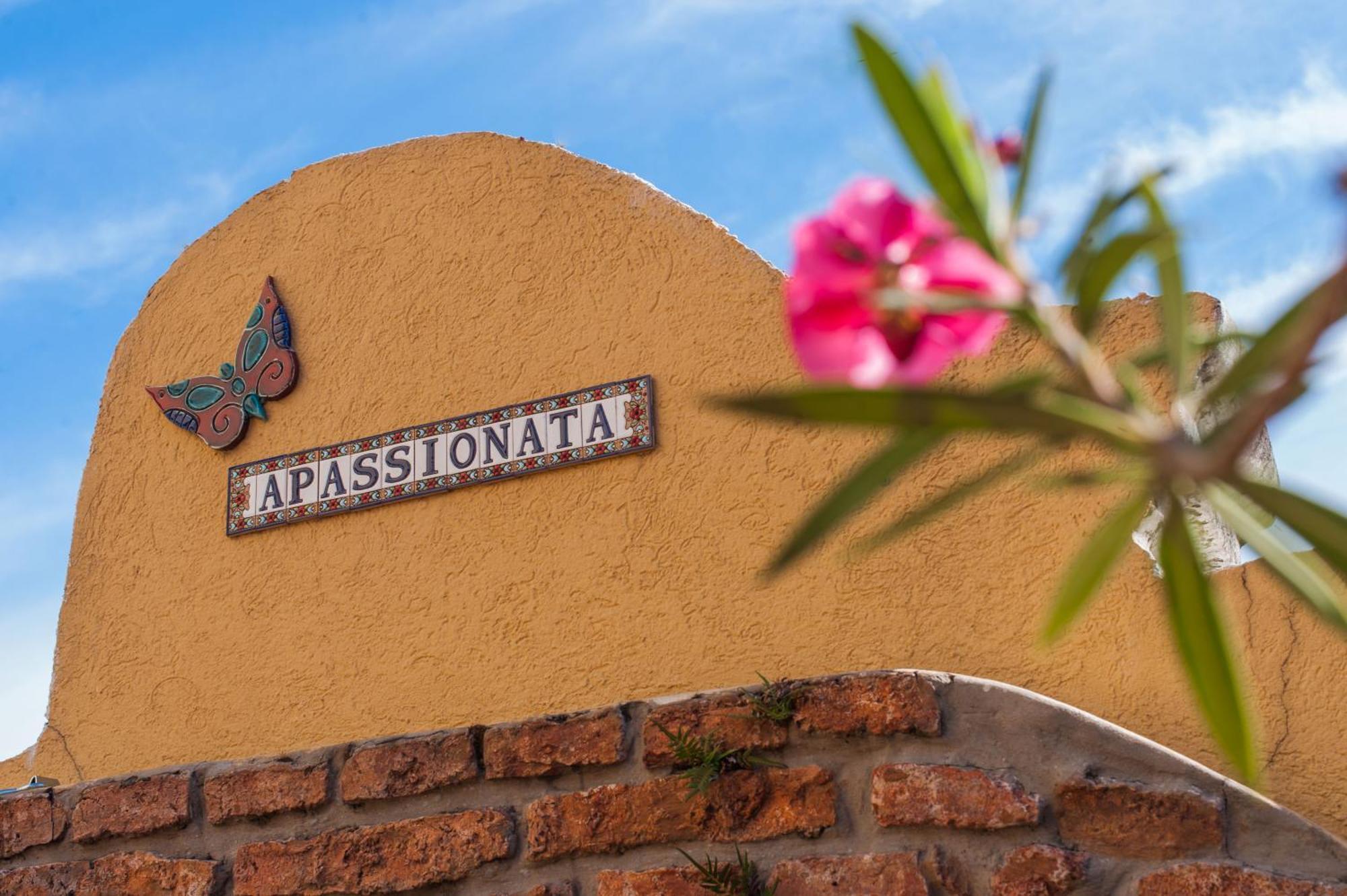 Apassionata Tango Hotel Μπουένος Άιρες Εξωτερικό φωτογραφία