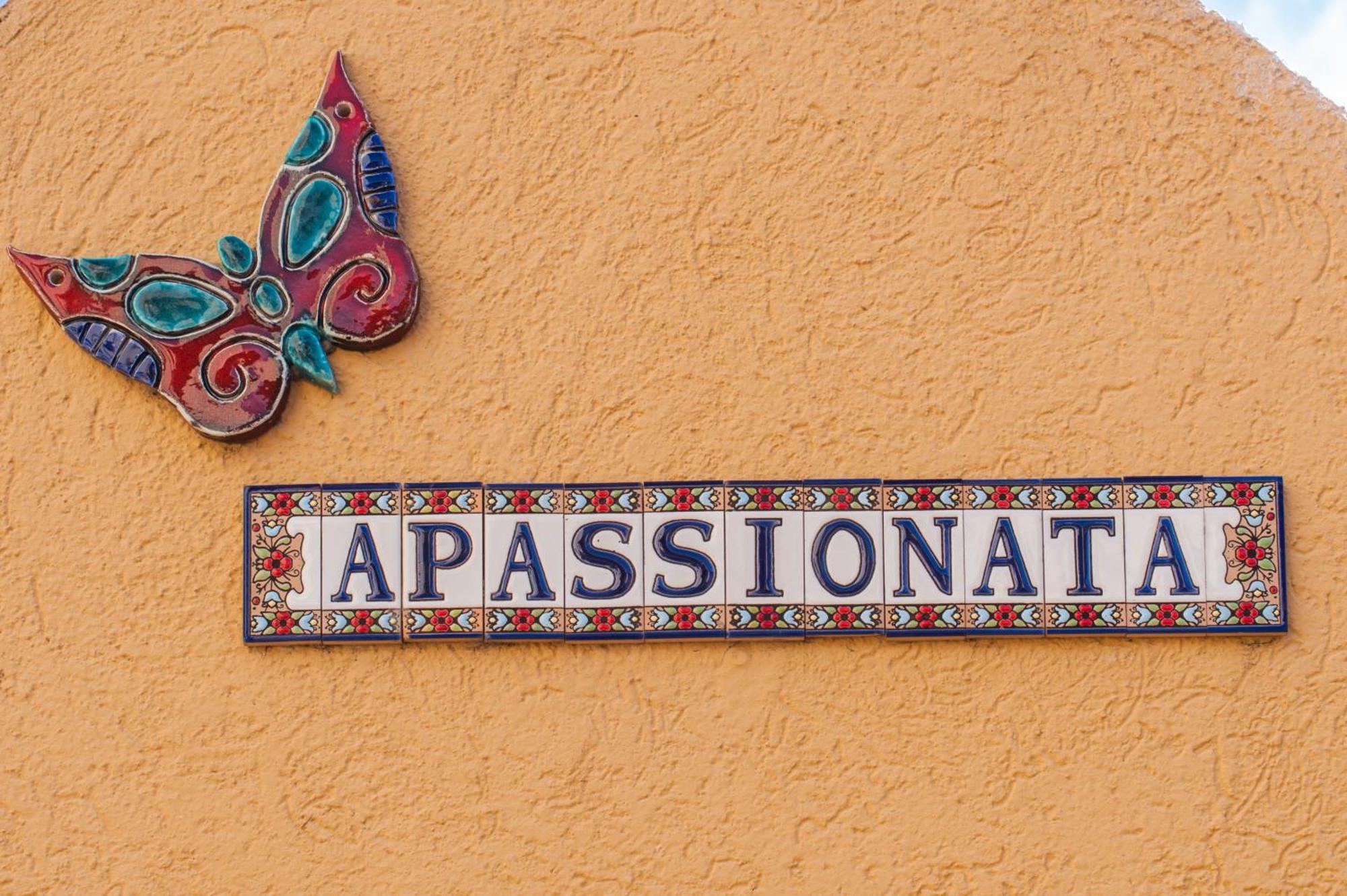 Apassionata Tango Hotel Μπουένος Άιρες Εξωτερικό φωτογραφία